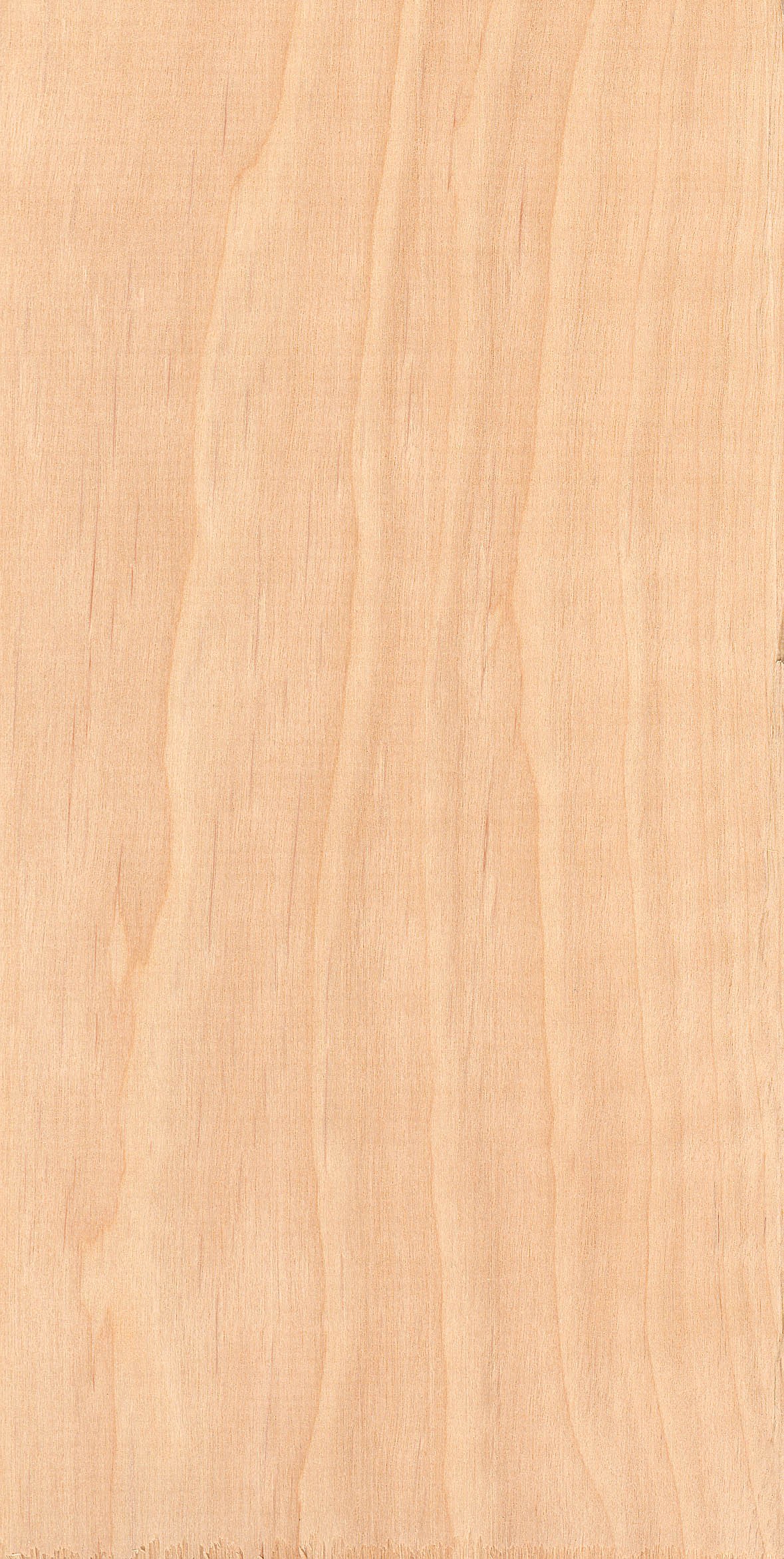 Korngröße 0-2 mm 400g Räucherspäne vom Erlenholz Räuchermehl Erle