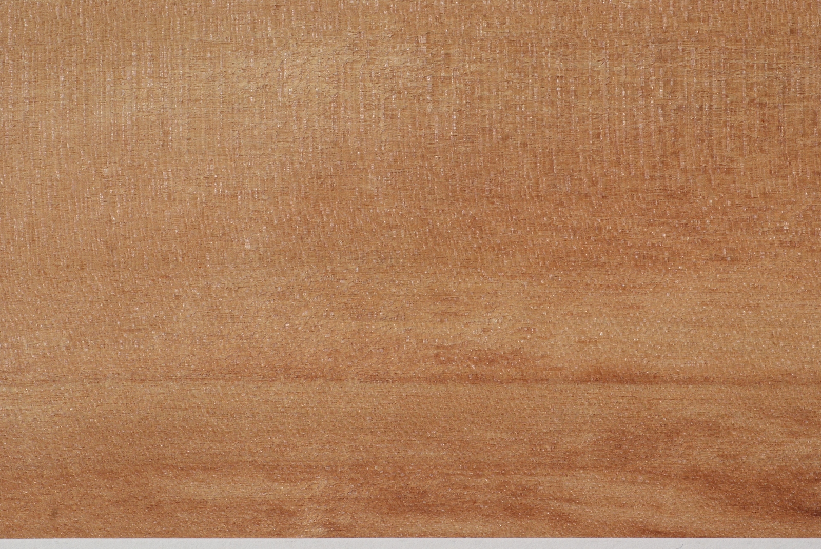 Abura Merkmale & Eigenschaften Holz vom Fach