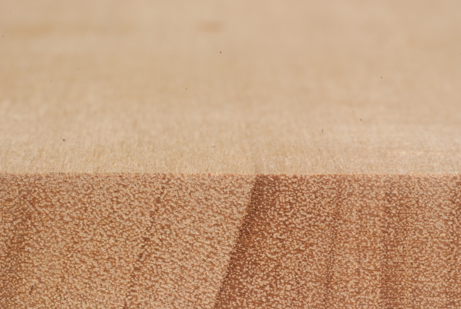 Abura Merkmale & Eigenschaften Holz vom Fach