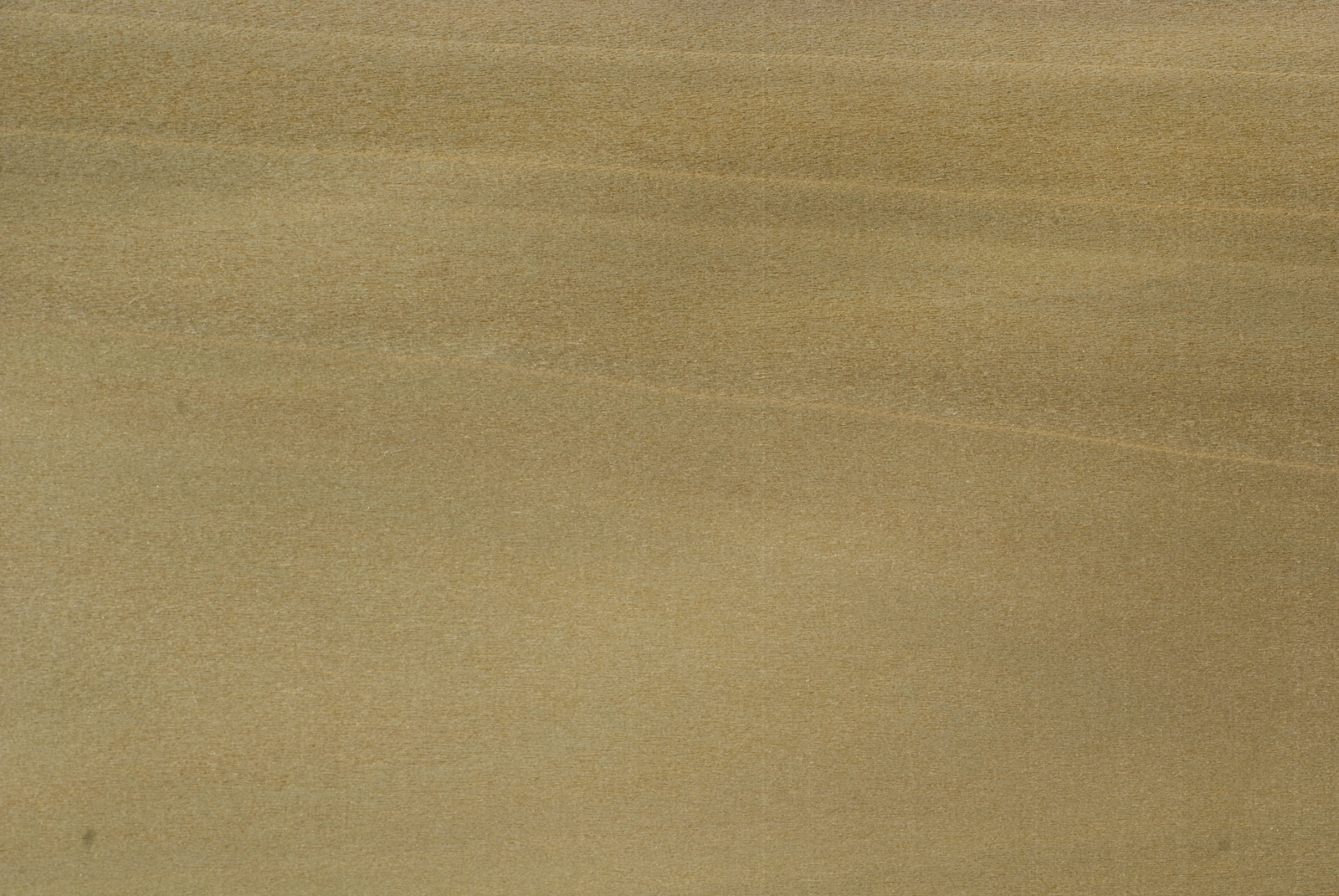 American Whitewood Merkmale & Eigenschaften Holz vom Fach