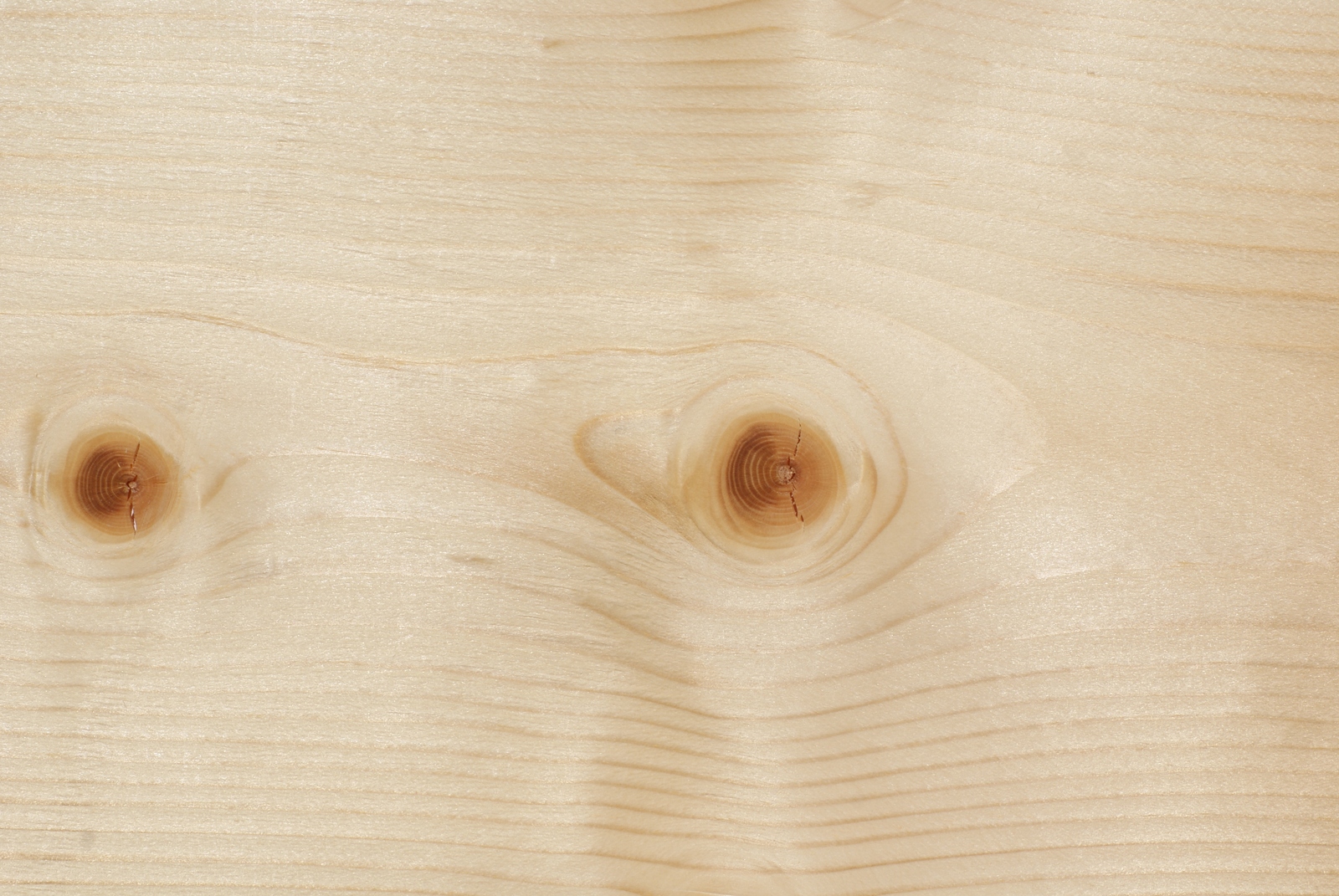 Fichte Eigenschaften fichte merkmale eigenschaften holz vom fach Fichte Eigenschaften fichte merkmale eigenschaften holz vom fach