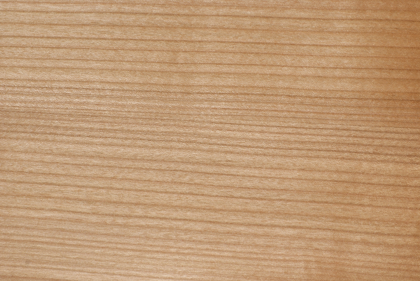 Kirschbaum Eigenschaften kirschbaum merkmale eigenschaften holz vom fach Kirschbaum Eigenschaften kirschbaum merkmale eigenschaften holz vom fach