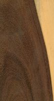 Katalox (Swartzia cubensis) – Tangentiale Oberfläche (natürliche Größe)