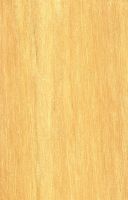 Austauschholz: Westindischer Buchs (Aspidosperma parvifolium) – tangentiale Oberfläche (natürliche Größe)