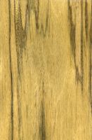 Limba bariolé (dunkles Holz) – tangentiale Oberfläche (natürliche Größe)