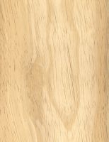 Rubberwood (Hevea brasiliensis): Tangentiale Oberfläche (natürliche Größe)
