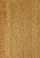 Mandioqueira (Qualea sp.): radiale Oberfläche (natürliche Größe)
© Thünen-Institut