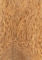 Mandioqueira (Qualea sp.): tangentiale Oberfläche (natürliche Größe)
© Thünen-Institut