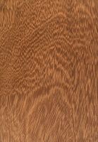 Iroko (Milicia excelsa.): tangentiale Oberfläche (natürliche Größe)
© Thünen