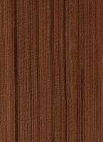 Western Red Cedar (Thuja plicata) – Radiale Oberfläche (natürliche Größe)
© Thünen-Institut