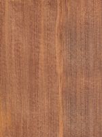 Redwood (Sequoia sempervirens): radiale Oberfläche (natürliche Größe)
© Thünen-Institut