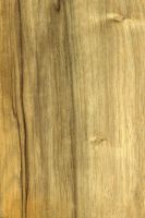 Limba bariolé (dunkles Holz) – radiale Oberfläche (natürliche Größe)
© von-Thünen-Institut