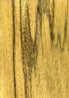 Limba (Terminalia superba, bariolé dunkles Holz): tangentiale Oberfläche
© Thünen