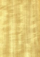 Limba (Terminalia superba, helles Holz): radiale Oberfläche (natürliche Größe),
© Thünen
