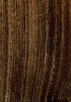 Wengé (Millettia laurentii): radiale Oberfläche (natürliche Größe)
© Thünen