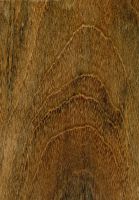 Ovengkol (Guibourtia ehie): Querschnitt (ca. 12x) Oberfläche (natürliche Größe)
© Thünen