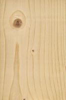 Fichte (Picea abies): Tangentiale Oberfläche (natürliche Größe) � Thünen-Institut