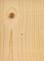 Fichte (Picea abies): tangentiale Oberfläche (natürliche Größe)
© Thünen