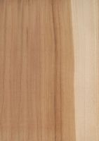 Kirschbaum (Prunus avium): radiale Oberfläche (natürliche Größe)
© Thünen-Institut