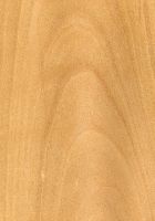 Kirschbaum (Prunus avium): tangentiale Oberfläche (natürliche Größe)
© Thünen-Institut