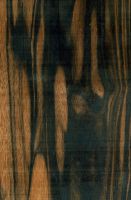 Farbstreifiges Ebenholz (Diospyros celebica): tangentiale Oberfläche (natürliche Größe)
© Thünen-Institut