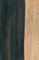 Schwarzes Ebenholz (Diospyros crassiflora): radiale Oberfläche (natürliche Größe)
© Thünen-Institut