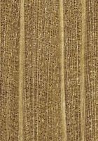 Hainbuche (Carpinus betulus): Querschnitt (ca. 12x)
© Thünen