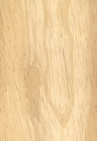 Rubberwood (Hevea brasiliensis): tangentiale Oberfläche (natürliche Größe)
© Thünen