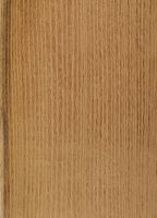 Robinie (Robinia pseudoacacia): radiale Oberfläche (natürliche Größe)
© Thünen