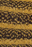 Robinie (Robinia pseudoacacia): Querschnitt (ca. 12x)
© Thünen