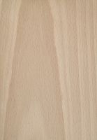 Buche (F. syvatica): tangentiale Oberfläche (natürliche Größe)