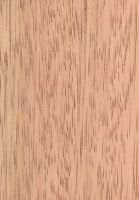 Cedrorana (Cedrelinga cateniformis): radiale Oberfläche (natürliche Größe)
© Thünen