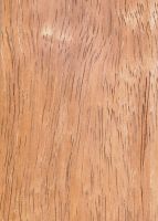 Cedrorana (Cedrelinga cateniformis): tangentiale Oberfläche (natürliche Größe)
© Thünen