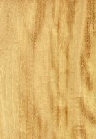 Garapa (Apuleia leiocarpa): radiale Oberfläche (natürliche Größe)
© Thünen