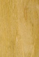 Garapa (Apuleia leiocarpa): tangentiale Oberfläche (natürliche Größe)
© Thünen