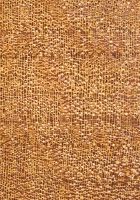 Garapa (Apuleia leiocarpa): Querschnitt (ca. 12x)
© Thünen