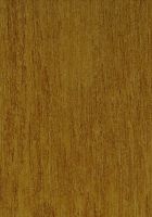 Itaúba (Mezilaurus spp.): tangentiale Oberfläche (natürliche Größe)
© Thünen