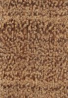 Itaúba (Mezilaurus spp.): Querschnitt (ca. 12x)
© Thünen