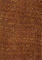 Chakté-viga (Caesalpinia platyloba): Querschnitt (ca. 12x)
© Thünen