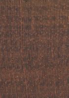 Chechén (Metopium brownei): Querschnitt (ca. 12x)
© Thünen