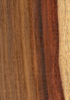 Granadillo (Platymiscium cf. yucatanum): radiale Oberfläche (natürliche Größe)
© Thünen