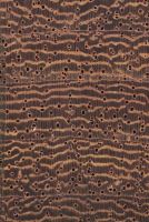 Machiche (Lonchocarpus cf. castilloi): Querschnitt (ca. 12x)