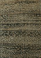 Pukté (Terminalia buceras): Querschnitt (ca. 12x)
© Thünen