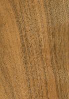 Tzalam (Lysiloma latisiliquum): radiale Oberfläche (natürliche Größe)
© Thünen