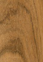 Tzalam (Lysiloma latisiliquum): tangentiale Oberfläche (natürliche Größe)