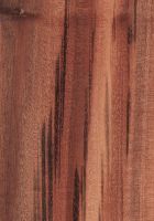 Gonçalo alves (Astronium sp.): radiale Oberfläche (natürliche Größe)