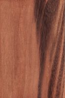 Gonçalo alves (Astronium sp.): tangentiale Oberfläche (natürliche Größe)