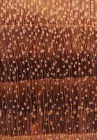 Gonçalo alves (Astronium sp.): Querschnitt (ca. 12x)
© Thünen