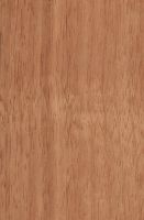 Kasai (Pometia sp.): radiale Oberfläche (natürliche Größe)
© Thünen