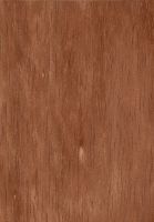 Kasai (Pometia sp.): tangentiale Oberfläche (natürliche Größe)
© Thünen